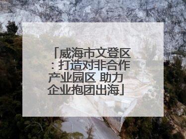 威海市文登区：打造对非合作产业园区 助力企业抱团出海