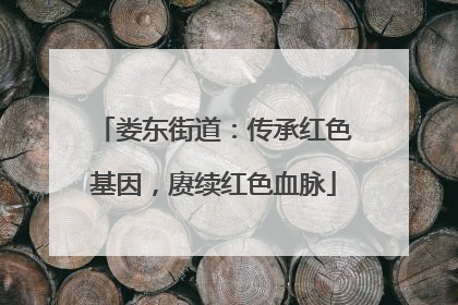 娄东街道：传承红色基因，赓续红色血脉