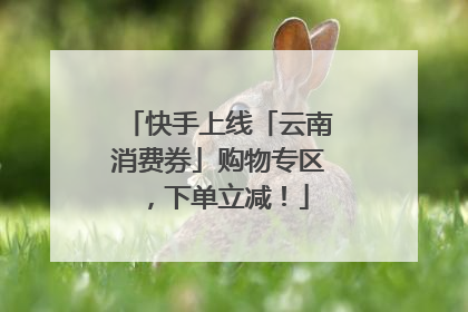 快手上线「云南消费券」购物专区，下单立减！