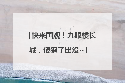 快来围观！九眼楼长城，傻狍子出没~