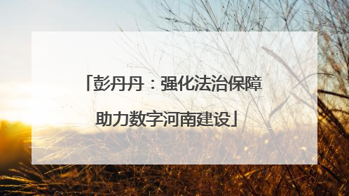 彭丹丹：强化法治保障 助力数字河南建设