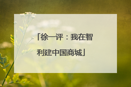 徐一评：我在智利建中国商城