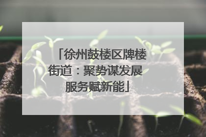 徐州鼓楼区牌楼街道：聚势谋发展 服务赋新能