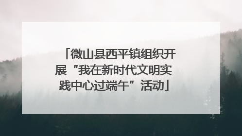 微山县西平镇组织开展“我在新时代文明实践中心过端午”活动