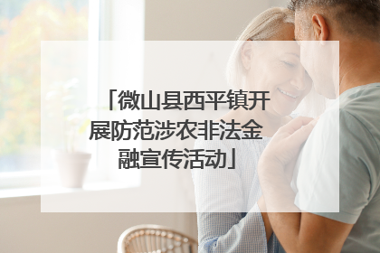 微山县西平镇开展防范涉农非法金融宣传活动