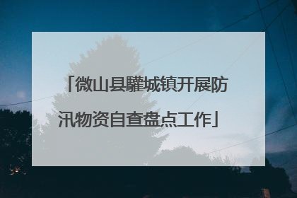 微山县驩城镇开展防汛物资自查盘点工作