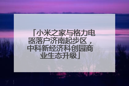 小米之家与格力电器落户济南起步区，中科新经济科创园商业生态升级