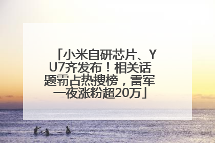 小米自研芯片、YU7齐发布！相关话题霸占热搜榜，雷军一夜涨粉超20万