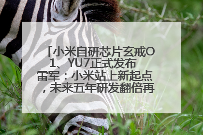 小米自研芯片玄戒O1、YU7正式发布 雷军：小米站上新起点，未来五年研发翻倍再投2000亿元