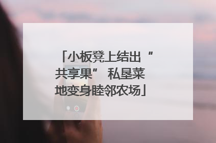小板凳上结出“共享果” 私垦菜地变身睦邻农场