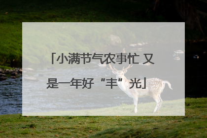 小满节气农事忙 又是一年好“丰”光