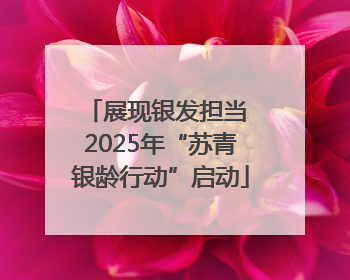 展现银发担当 2025年“苏青银龄行动”启动