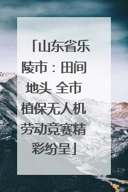 山东省乐陵市：田间地头 全市植保无人机劳动竞赛精彩纷呈