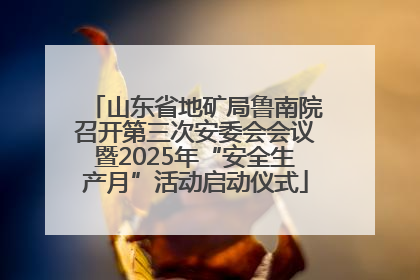 山东省地矿局鲁南院召开第三次安委会会议暨2025年“安全生产月”活动启动仪式