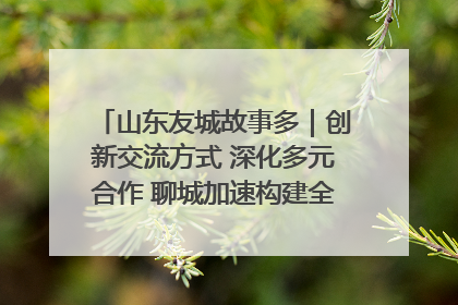 山东友城故事多｜创新交流方式 深化多元合作 聊城加速构建全球友城新格局