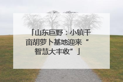 山东巨野：小镇千亩胡萝卜基地迎来“智慧大丰收”