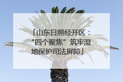 山东日照经开区：“四个聚焦”筑牢湿地保护司法屏障