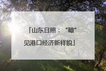 山东日照：“瞰”见港口经济新样貌