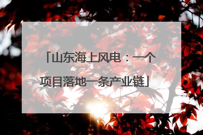 山东海上风电：一个项目落地一条产业链