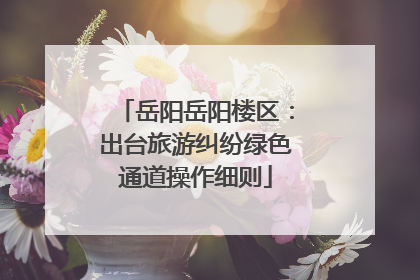 岳阳岳阳楼区：出台旅游纠纷绿色通道操作细则