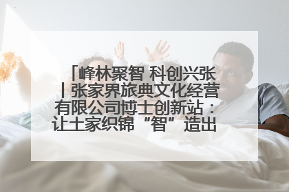 峰林聚智 科创兴张丨张家界旅典文化经营有限公司博士创新站：让土家织锦“智”造出非遗新传奇