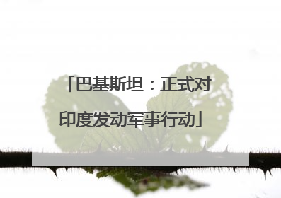 巴基斯坦：正式对印度发动军事行动