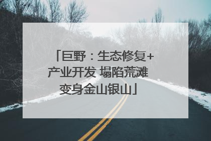 巨野：生态修复+产业开发 塌陷荒滩变身金山银山