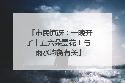 市民惊讶：一晚开了十五六朵昙花！与雨水均衡有关