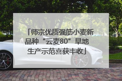 师宗优质强筋小麦新品种“云麦80”旱地生产示范喜获丰收