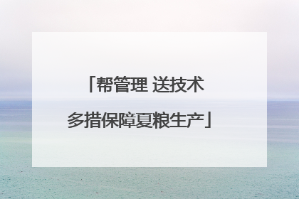 帮管理 送技术 多措保障夏粮生产
