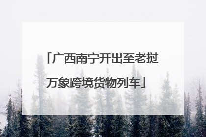 广西南宁开出至老挝万象跨境货物列车