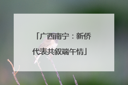 广西南宁：新侨代表共叙端午情