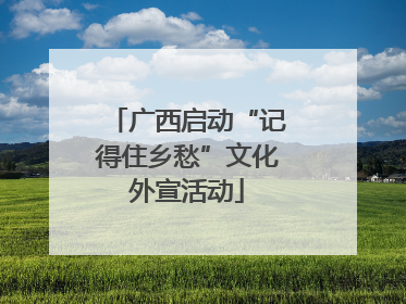 广西启动“记得住乡愁”文化外宣活动