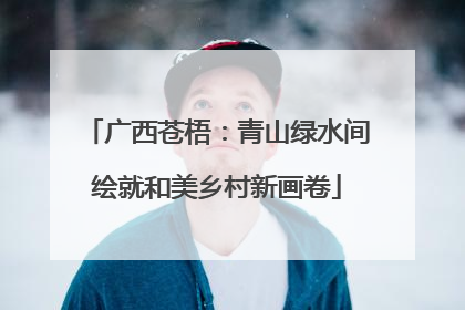 广西苍梧：青山绿水间绘就和美乡村新画卷