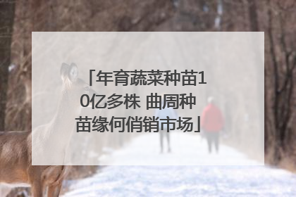 年育蔬菜种苗10亿多株 曲周种苗缘何俏销市场
