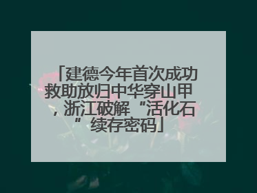 建德今年首次成功救助放归中华穿山甲，浙江破解“活化石”续存密码