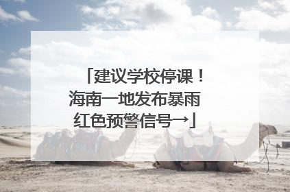 建议学校停课！海南一地发布暴雨红色预警信号→