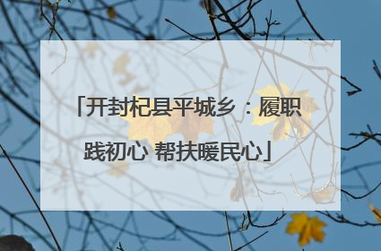 开封杞县平城乡：履职践初心 帮扶暖民心