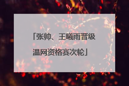 张帅、王曦雨晋级温网资格赛次轮