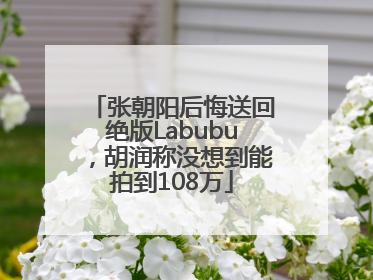 张朝阳后悔送回绝版Labubu，胡润称没想到能拍到108万