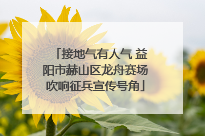 接地气有人气 益阳市赫山区龙舟赛场吹响征兵宣传号角