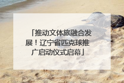 推动文体旅融合发展！辽宁省匹克球推广启动仪式启幕