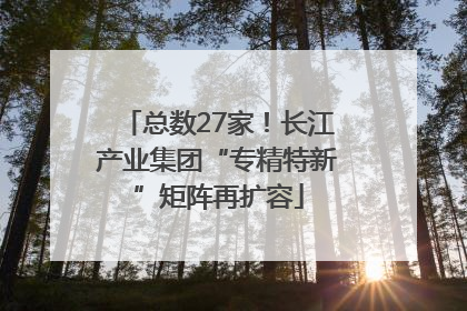 总数27家！长江产业集团“专精特新”矩阵再扩容