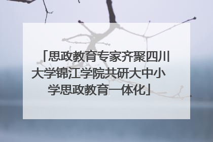 思政教育专家齐聚四川大学锦江学院共研大中小学思政教育一体化