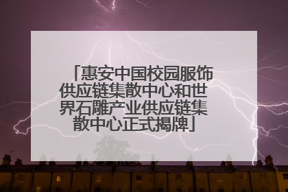 惠安中国校园服饰供应链集散中心和世界石雕产业供应链集散中心正式揭牌