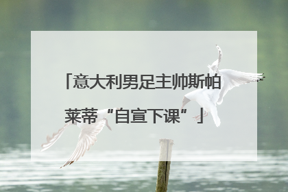 意大利男足主帅斯帕莱蒂“自宣下课”
