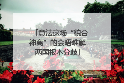 意法这场“貌合神离”的会晤难解两国根本分歧