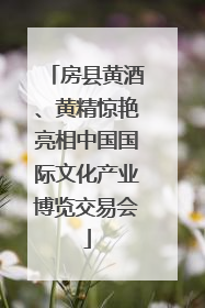 房县黄酒、黄精惊艳亮相中国国际文化产业博览交易会