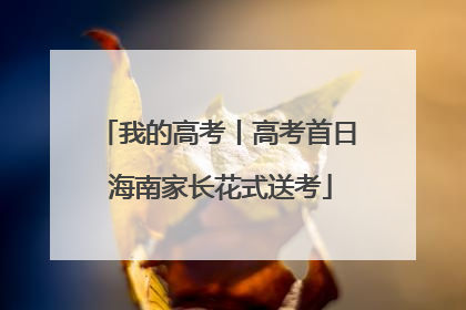 我的高考丨高考首日 海南家长花式送考