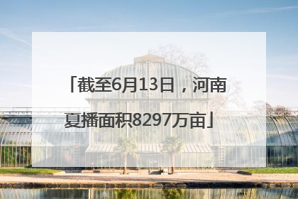 截至6月13日，河南夏播面积8297万亩